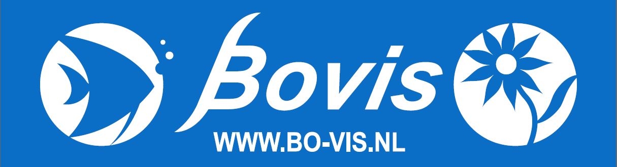 Logo BO-VIS